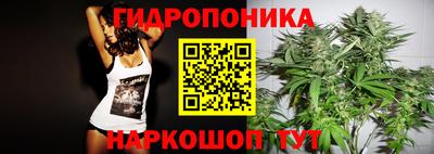прущая мука Гатчина
