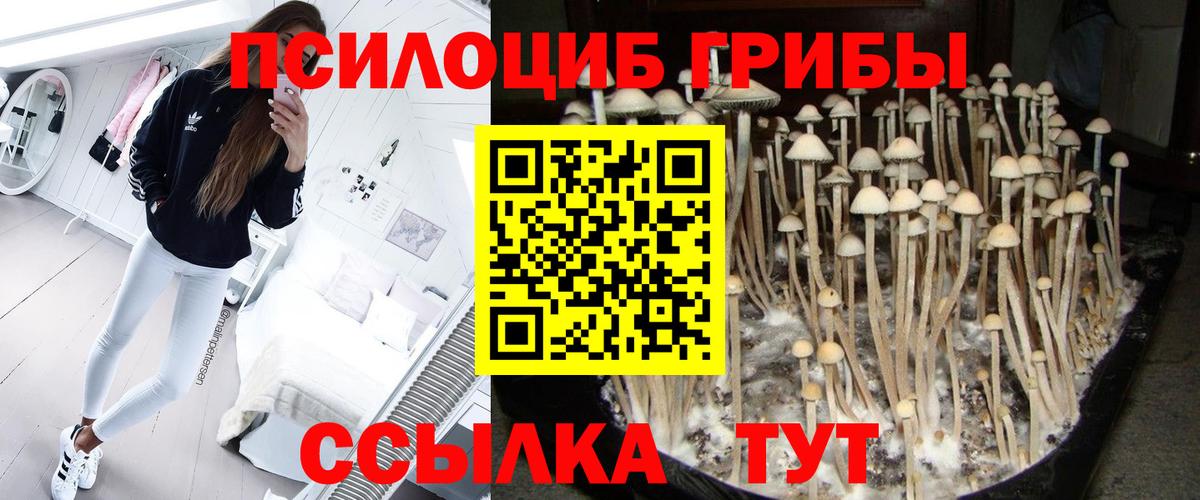 Псилоцибиновые грибы прущие грибы  Вход с VPN  Гусиноозёрск  Галлюциногенные грибы Cubensis 