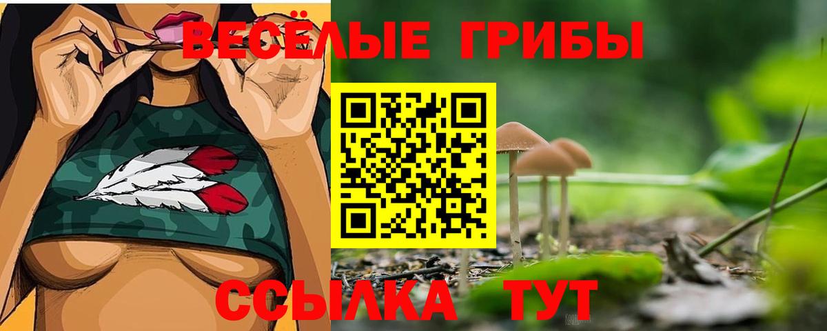 Галлюциногенные грибы Cubensis  Гусиноозёрск  Галлюциногенные грибы Psilocybe 