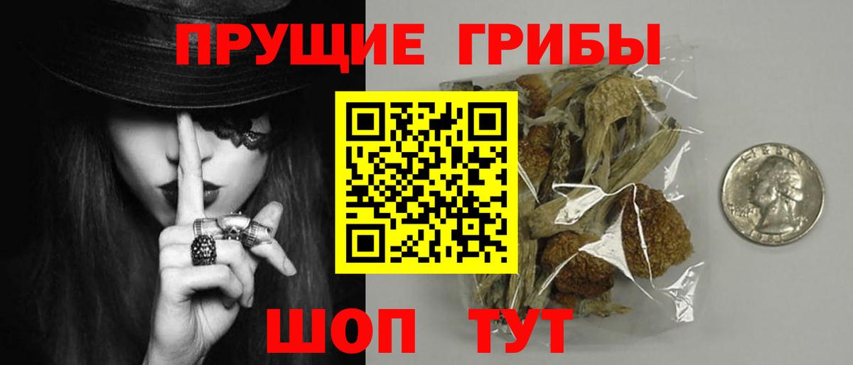 Галлюциногенные грибы мухоморы Гусиноозёрск